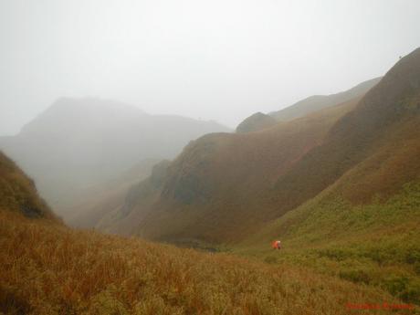 Mt. Pulag Akiki Trail