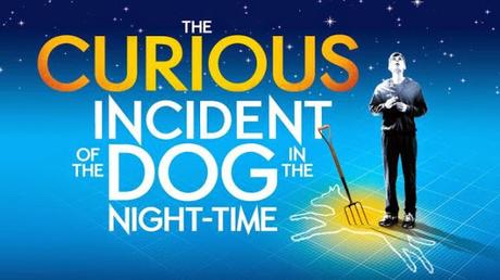 The Curious Incident of the Dog in the Night-Time