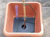Cane-support System