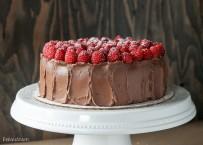 Mocha Raspberry Cake