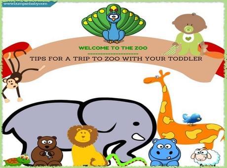 Visit To the Zoo With Your Toddler – 12 Tips That Help