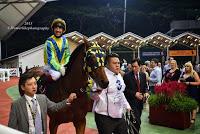 My first hand experience with horse racing at Singapore Airlines International Cup 2015