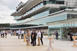 My first hand experience with horse racing at Singapore Airlines International Cup 2015