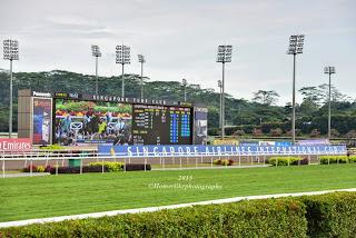 My first hand experience with horse racing at Singapore Airlines International Cup 2015