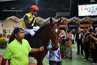 My first hand experience with horse racing at Singapore Airlines International Cup 2015
