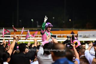 My first hand experience with horse racing at Singapore Airlines International Cup 2015