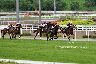 My first hand experience with horse racing at Singapore Airlines International Cup 2015