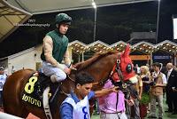 My first hand experience with horse racing at Singapore Airlines International Cup 2015