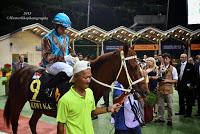 My first hand experience with horse racing at Singapore Airlines International Cup 2015