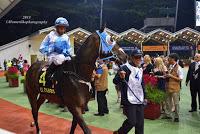 My first hand experience with horse racing at Singapore Airlines International Cup 2015