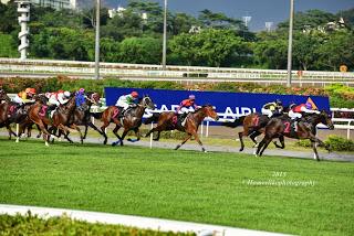 My first hand experience with horse racing at Singapore Airlines International Cup 2015