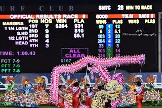 My first hand experience with horse racing at Singapore Airlines International Cup 2015