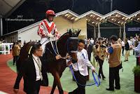 My first hand experience with horse racing at Singapore Airlines International Cup 2015