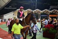 My first hand experience with horse racing at Singapore Airlines International Cup 2015