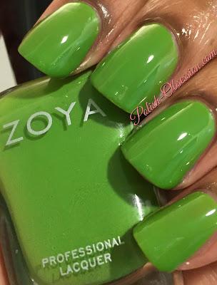 Zoya Island Fun Collection