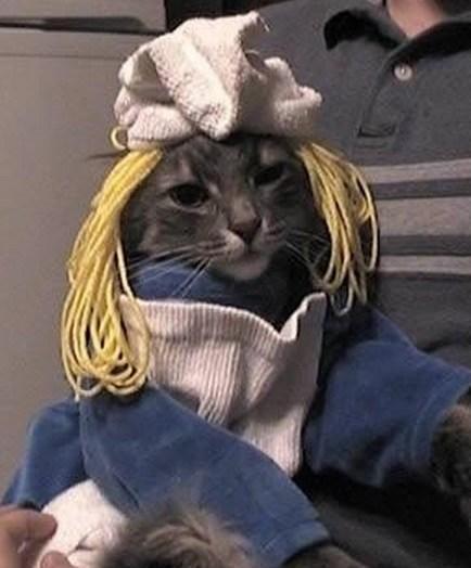 Top 10 Animals in Smurf Costumes and Fancy Dress