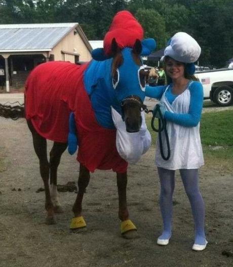 Top 10 Animals in Smurf Costumes and Fancy Dress