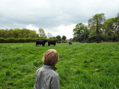 Open Farm Sunday 7 June #OFS15