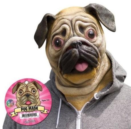 Top 10 Unusual Gift Ideas for Pug Lovers Top 10 Unusual Gift Ideas for Pug Lovers