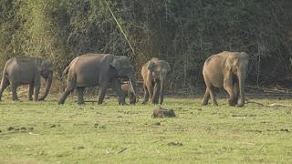 Begur Wildlife Sanctuary