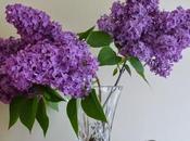 First Garden Bouquet Year