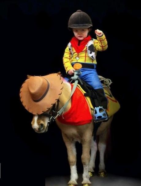 Top 10 Amazing Horse and Rider Costume Ideas