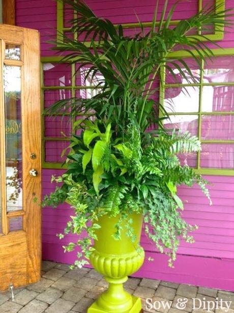 12 Jumbo Planter Design Ideas