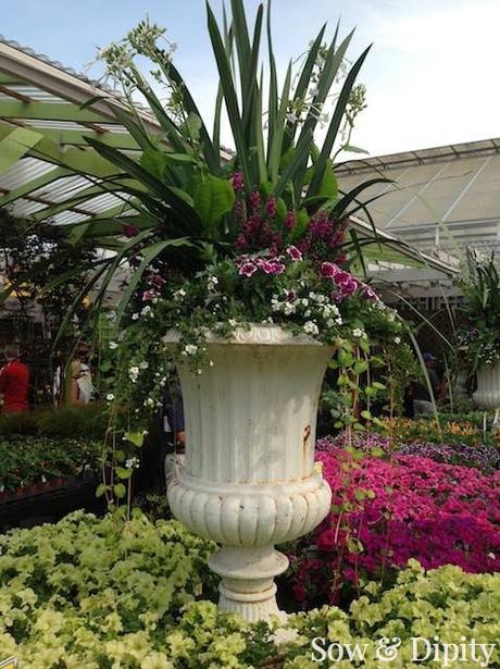 12 Jumbo Planter Design Ideas