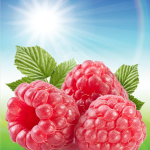 Sun Ripened Raspberry