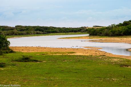 The landscape of Yala, Sri Lanka