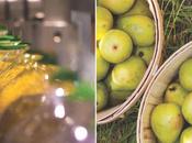 BevOps 2015: Driver Shortage Vehicle Costs Challenge Beverage Industry