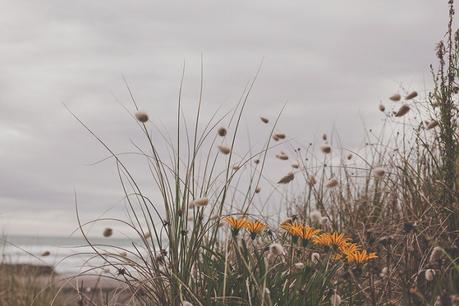 A chilled out engagement session on Piha Beach by CAPTURED by Keryn