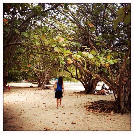 Walking through the mangroves to get to a public beach in Trinidad