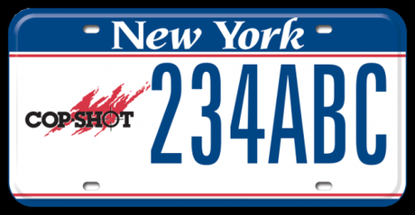 license plate3