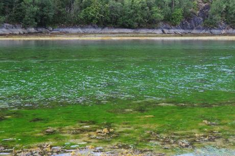 Un remanso de agua junto al camping