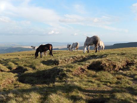 Brecons Beaten