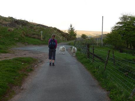 Brecons Beaten