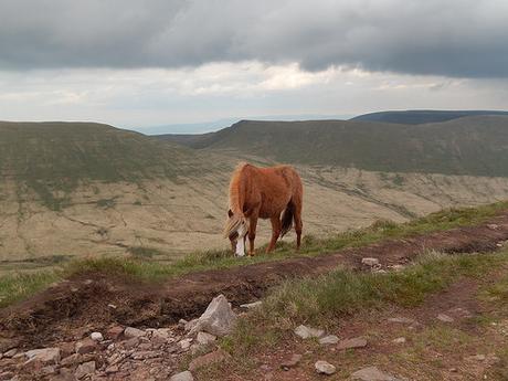 Brecons Beaten