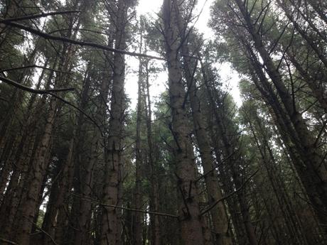 Queen Maeve's Trail, Take 2