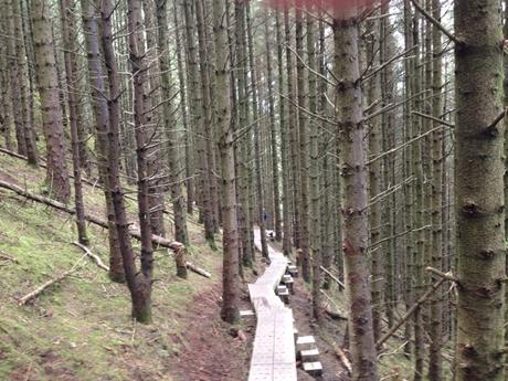 Queen Maeve's Trail, Take 2