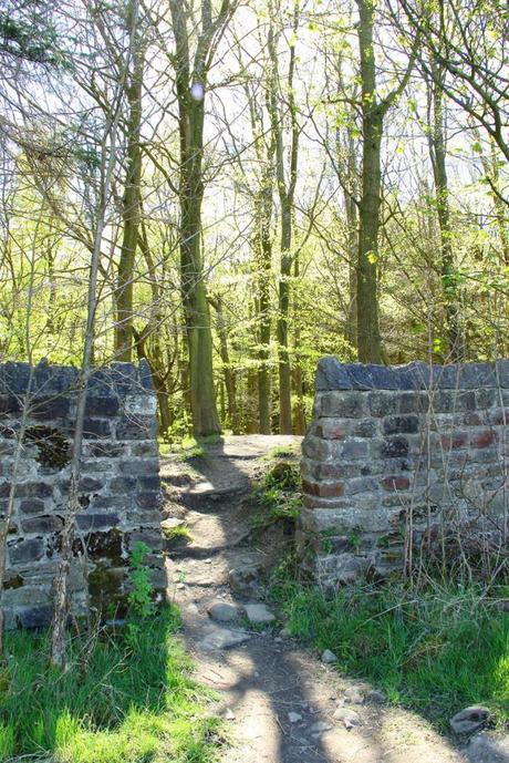 Bingley St. Ives Woods