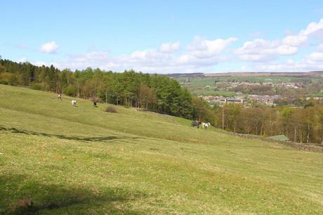 View from Bingley