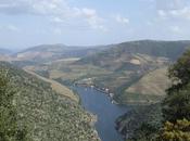 SĂŁo JoĂŁo Pesqueira, Heart Douro Valley
