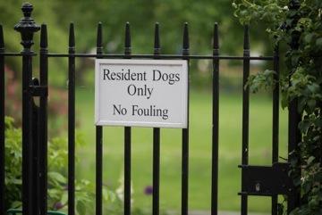 No Fouling! David Investigates the Inns of Court