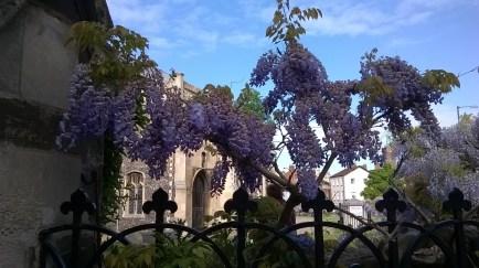 Wisteria Lane