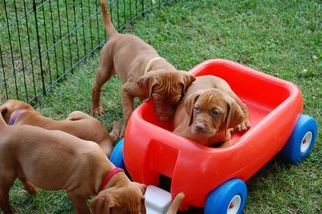 Life Lately… June? Life Lately… June?