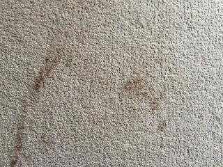 Dr. Beckmann Carpet Stain Remover