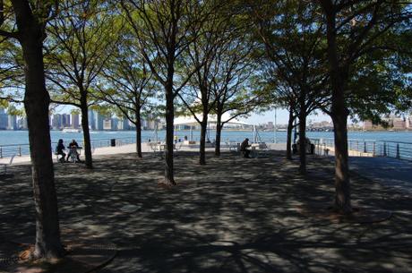 Hudson River Park 'Pier 45', New York, USA - Tree Providing Shade and Seating