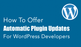 How To Offer Automatic Plugin Updates [WordPress Developers] : eAskme