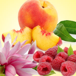 peach-magnolia-raspberry